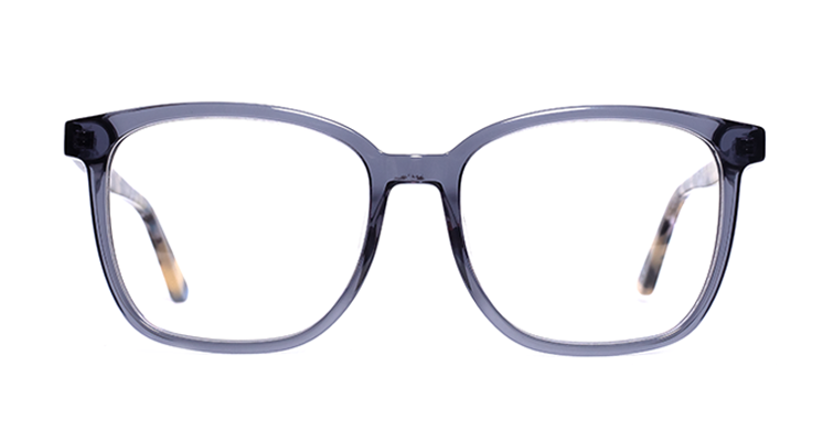 EJ-21090 板材大方框眼鏡