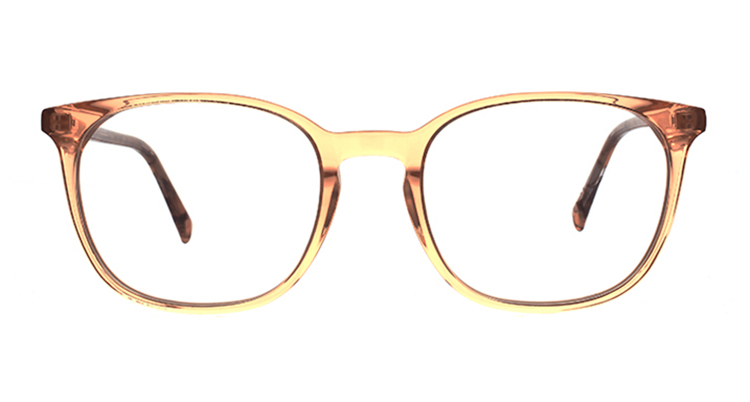 EJ-21030 板材威靈頓框眼鏡