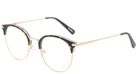 EJ-2102 金屬眉型框眼鏡，鏡腿後端以玳瑁紋腳套包覆，與波士頓框設計相互呼應，具有整體性的美感